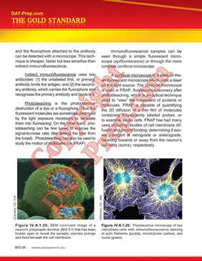 OAT Review Course